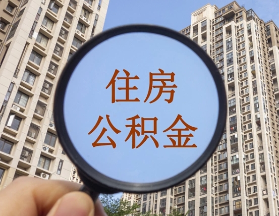 沛县公积金自动离职可以取吗（住房公积金自动离职可以取吗）